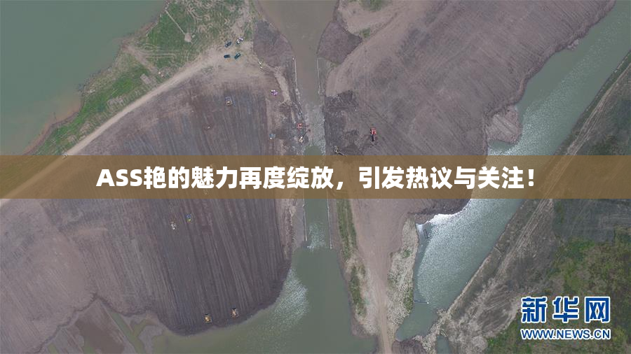 ASS艳的魅力再度绽放，引发热议与关注！