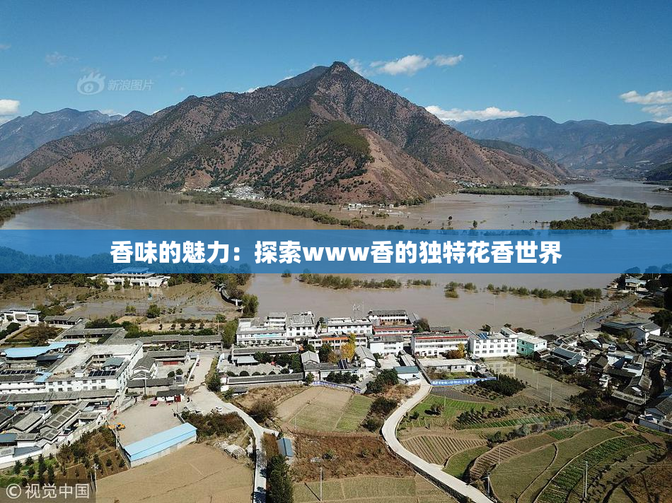 香味的魅力：探索www香的独特花香世界