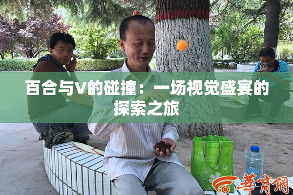 百合与V的碰撞：一场视觉盛宴的探索之旅