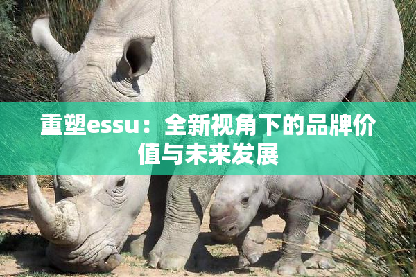 重塑essu：全新视角下的品牌价值与未来发展