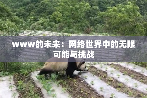 www的未来：网络世界中的无限可能与挑战