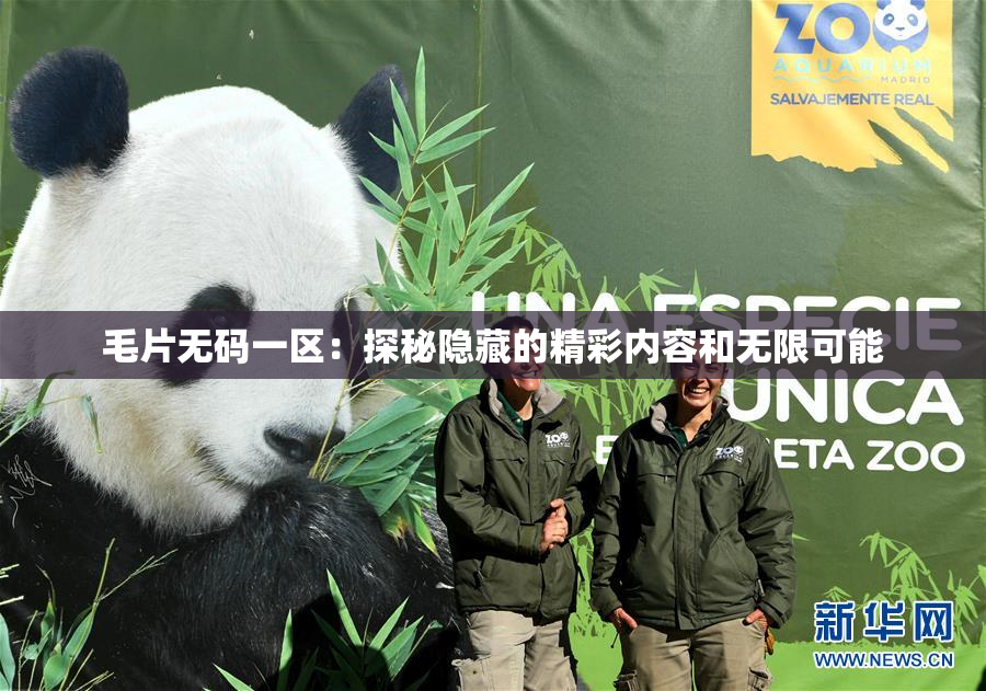 毛片无码一区：探秘隐藏的精彩内容和无限可能
