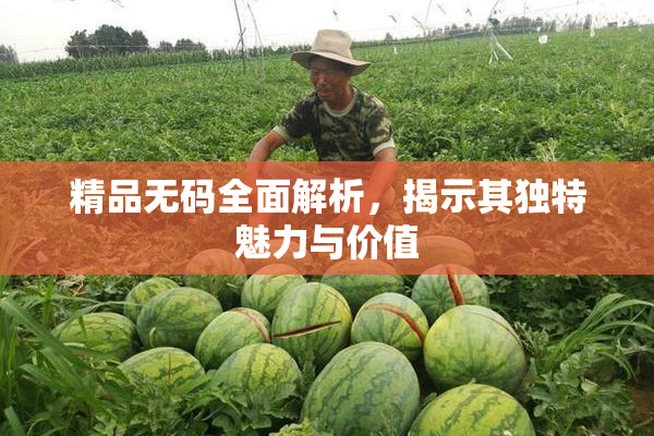 精品无码全面解析，揭示其独特魅力与价值