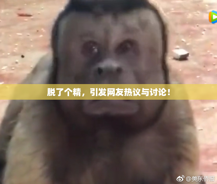 脱了个精，引发网友热议与讨论！