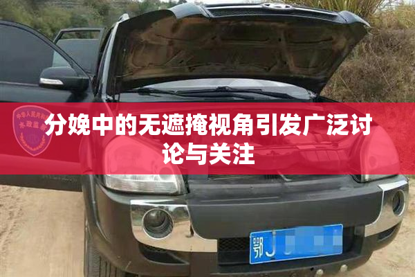 分娩中的无遮掩视角引发广泛讨论与关注