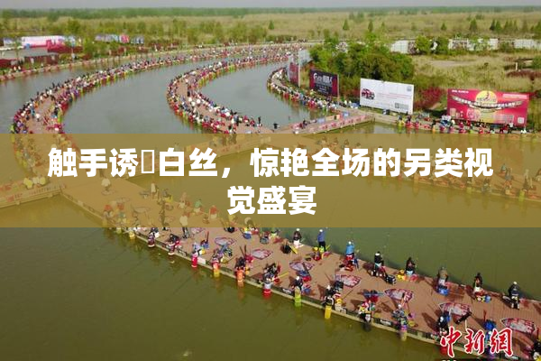 触手诱奷白丝，惊艳全场的另类视觉盛宴