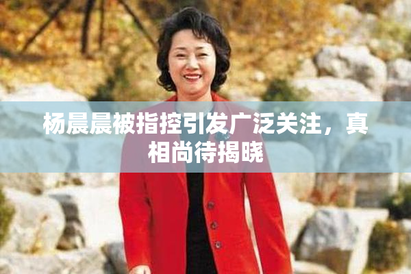 杨晨晨被指控引发广泛关注，真相尚待揭晓