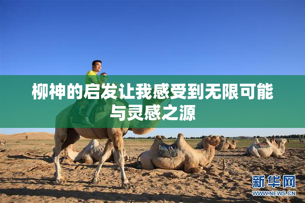 柳神的启发让我感受到无限可能与灵感之源