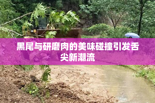 黑尾与研磨肉的美味碰撞引发舌尖新潮流