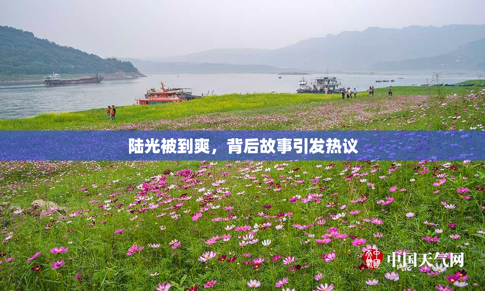 陆光被到爽，背后故事引发热议