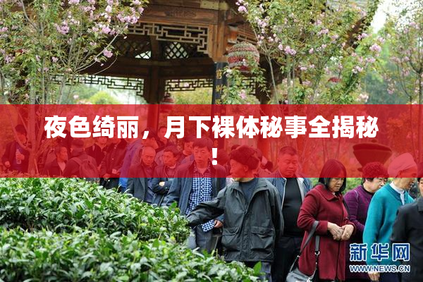 夜色绮丽，月下裸体秘事全揭秘！