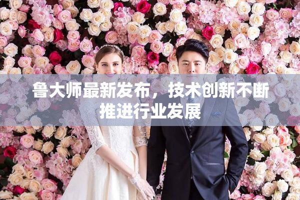鲁大师最新发布，技术创新不断推进行业发展