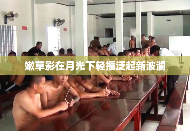 嫩草影在月光下轻摇泛起新波澜