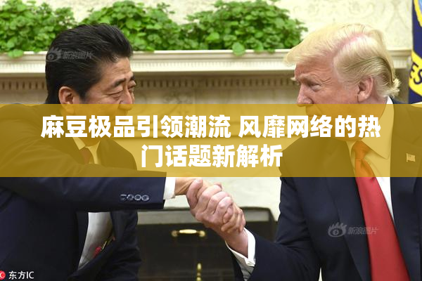 麻豆极品引领潮流 风靡网络的热门话题新解析