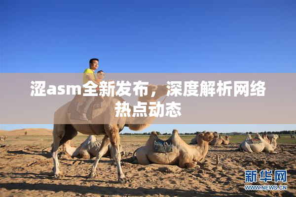 涩asm全新发布，深度解析网络热点动态