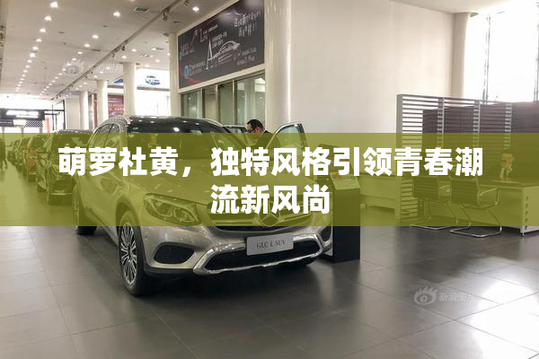萌萝社黄，独特风格引领青春潮流新风尚