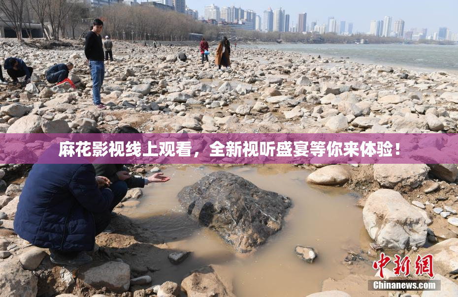 麻花影视线上观看，全新视听盛宴等你来体验！