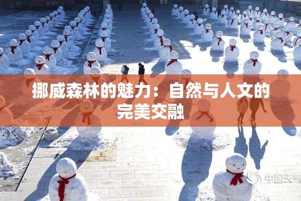 挪威森林的魅力：自然与人文的完美交融