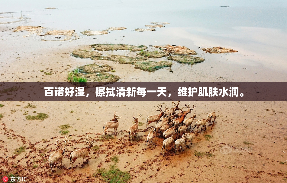 百诺好湿，擦拭清新每一天，维护肌肤水润。