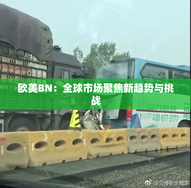 欧美BN：全球市场聚焦新趋势与挑战