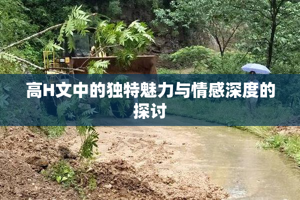 高H文中的独特魅力与情感深度的探讨