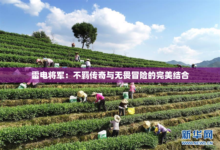 雷电将军：不羁传奇与无畏冒险的完美结合
