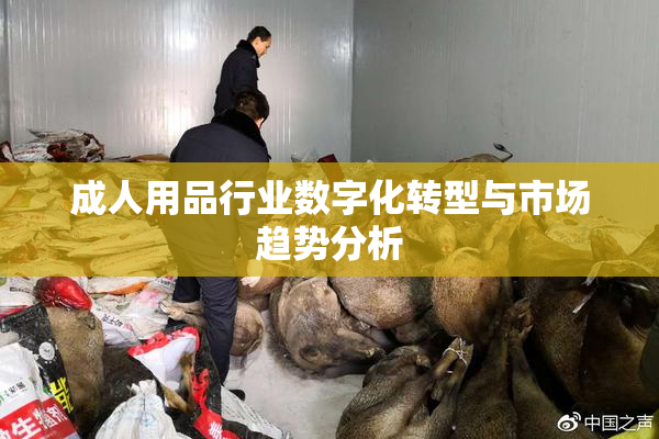 成人用品行业数字化转型与市场趋势分析