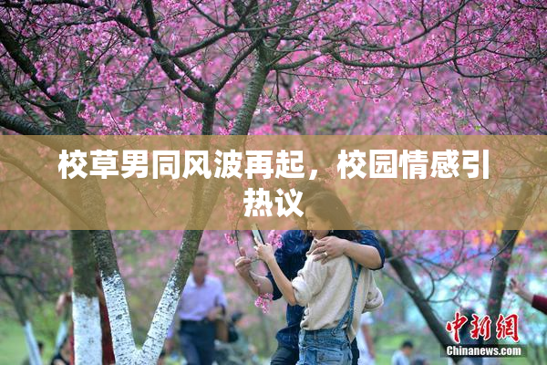 校草男同风波再起，校园情感引热议