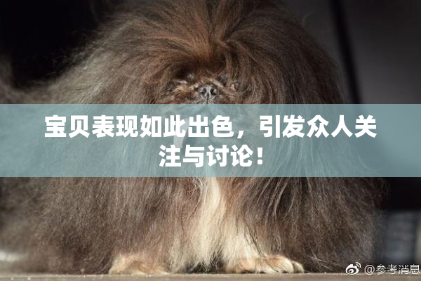 宝贝表现如此出色，引发众人关注与讨论！