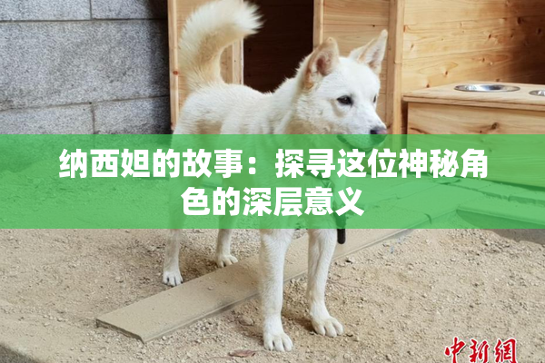 纳西妲的故事：探寻这位神秘角色的深层意义