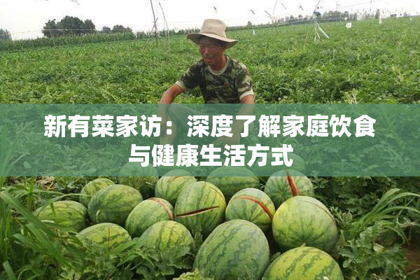 新有菜家访：深度了解家庭饮食与健康生活方式