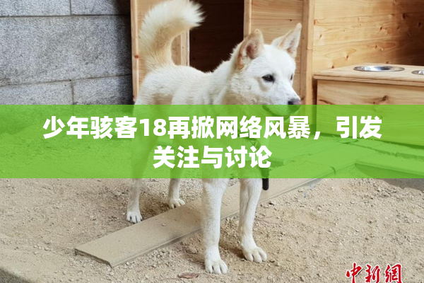 少年骇客18再掀网络风暴，引发关注与讨论