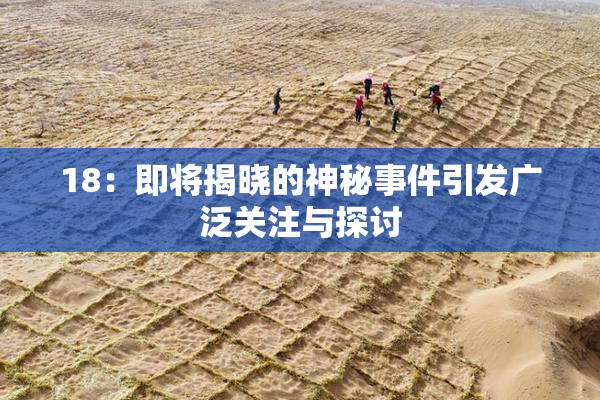 18：即将揭晓的神秘事件引发广泛关注与探讨
