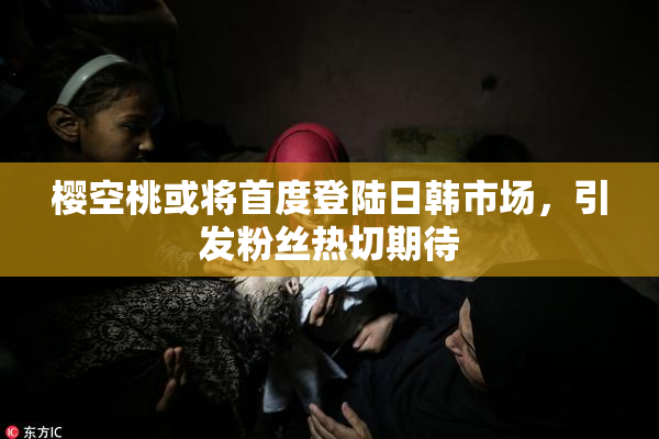 樱空桃或将首度登陆日韩市场，引发粉丝热切期待