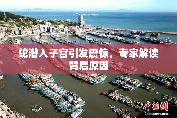 蛇潜入子宫引发震惊，专家解读背后原因