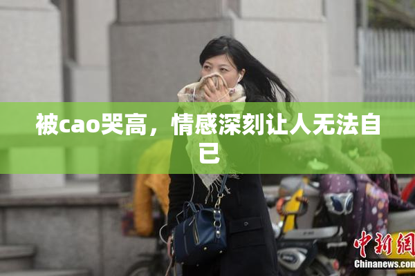 被cao哭高，情感深刻让人无法自已