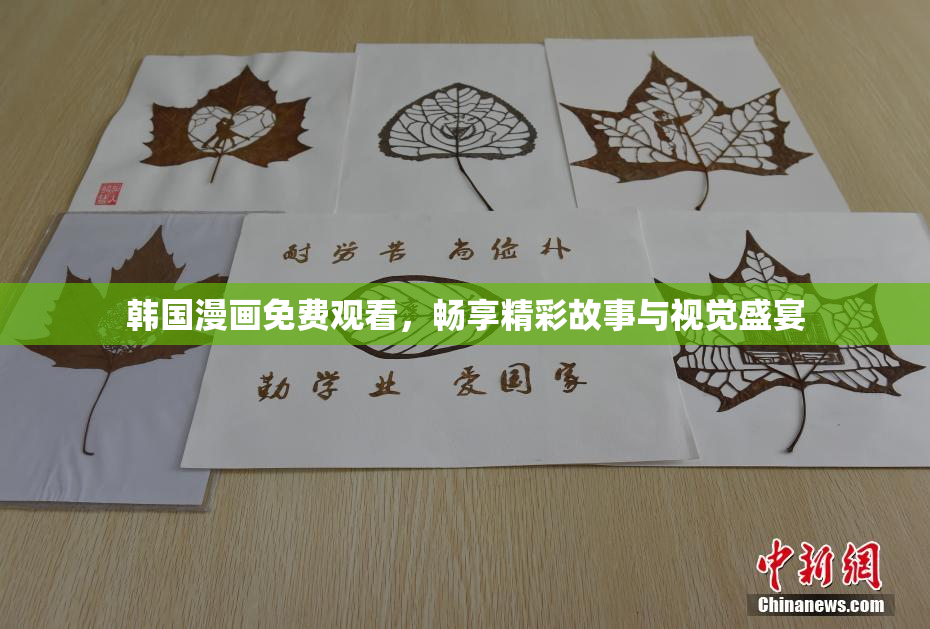 韩国漫画免费观看，畅享精彩故事与视觉盛宴