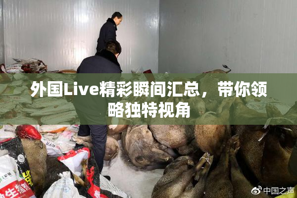 外国Live精彩瞬间汇总，带你领略独特视角