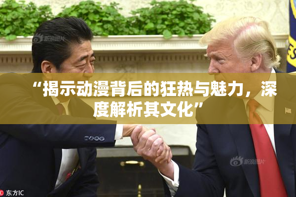 “揭示动漫背后的狂热与魅力，深度解析其文化”