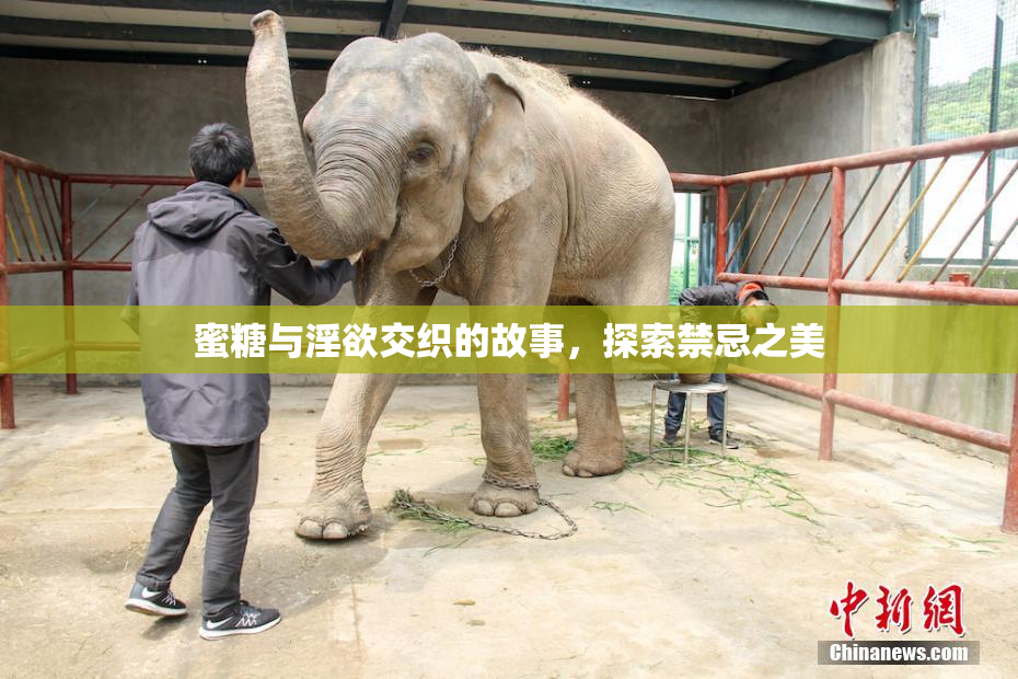 蜜糖与淫欲交织的故事，探索禁忌之美