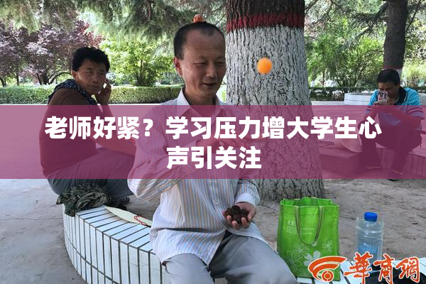 老师好紧？学习压力增大学生心声引关注