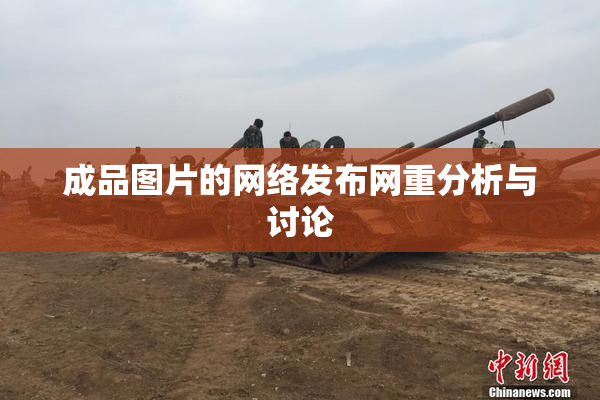 成品图片的网络发布网重分析与讨论
