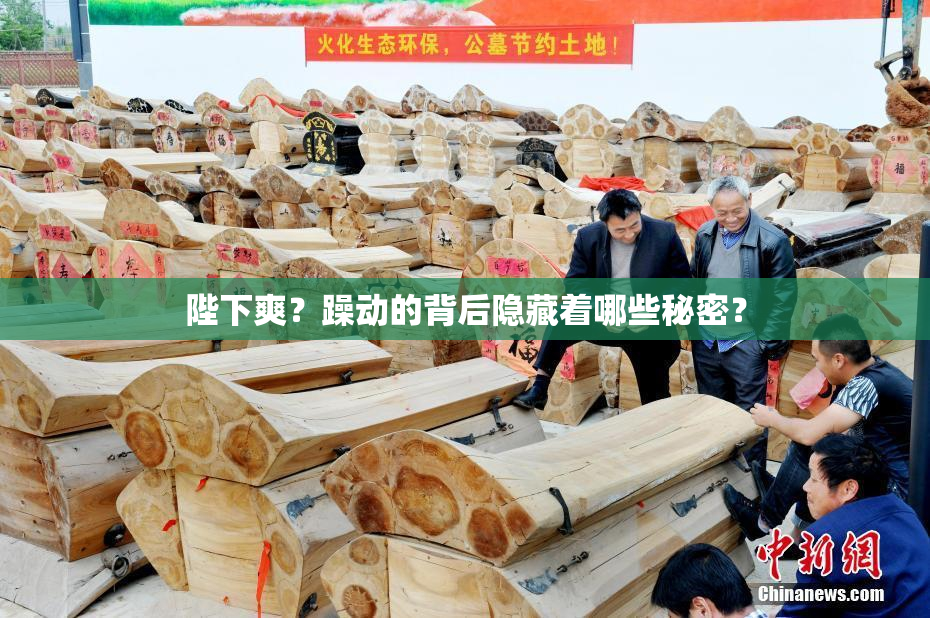 陛下爽？躁动的背后隐藏着哪些秘密？