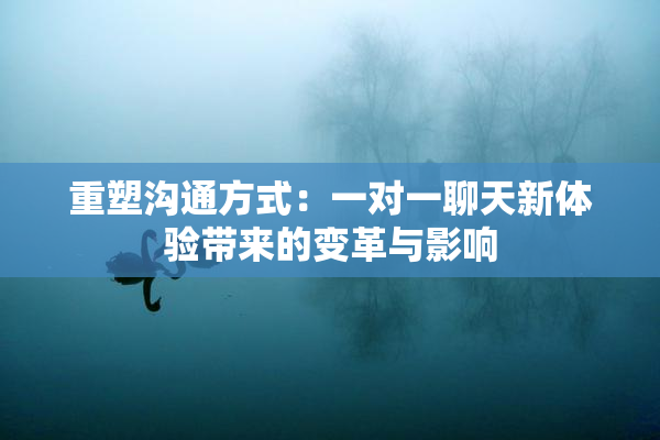 重塑沟通方式：一对一聊天新体验带来的变革与影响