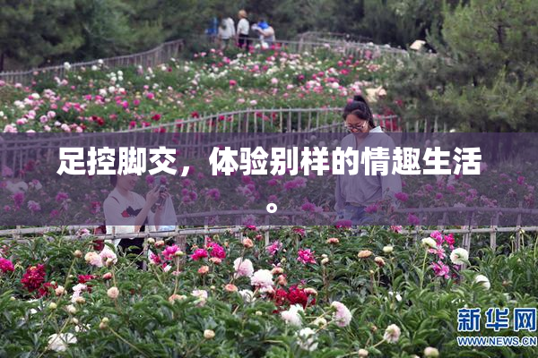 足控脚交，体验别样的情趣生活。
