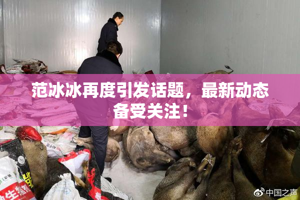 范冰冰再度引发话题，最新动态备受关注！