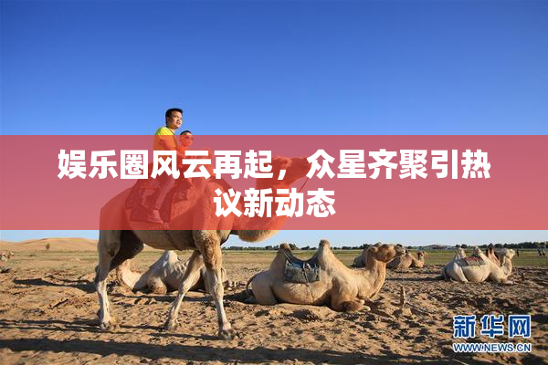 娱乐圈风云再起，众星齐聚引热议新动态