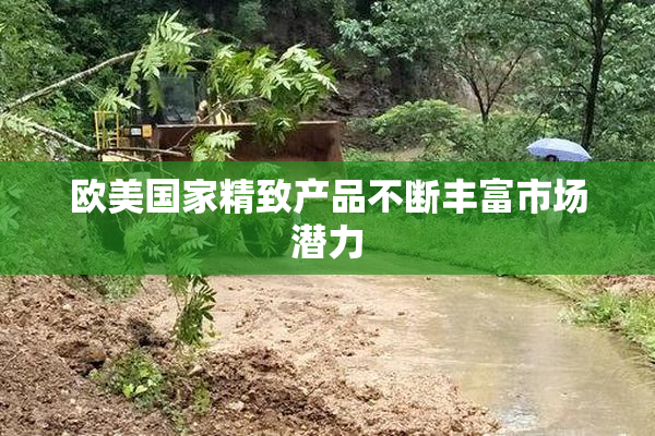 欧美国家精致产品不断丰富市场潜力