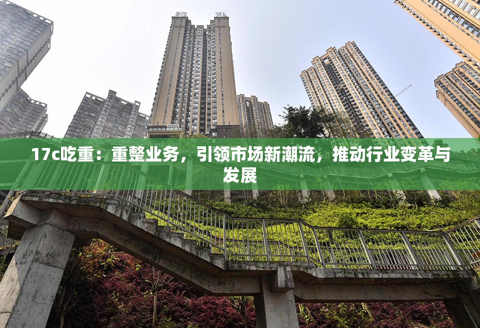17c吃重：重整业务，引领市场新潮流，推动行业变革与发展