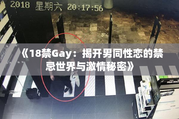 《18禁Gay：揭开男同性恋的禁忌世界与激情秘密》